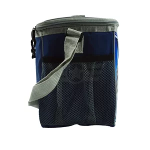 cartoon student cooler lunch bags