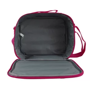 promotion picnic cooler bags for kids