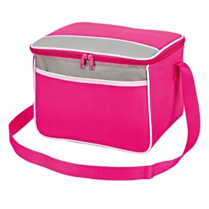 cooler bags for promotional from china